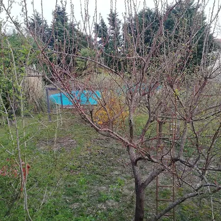 Camomilla منزل للإقامة *