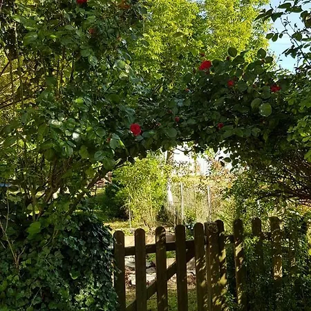 Camomilla منزل للإقامة رافيننا