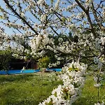 Camomilla Homestay Ravenna