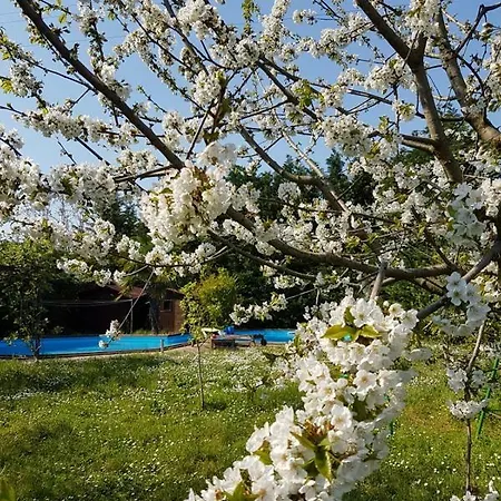 Camomilla ホームステイ ラヴェンナ