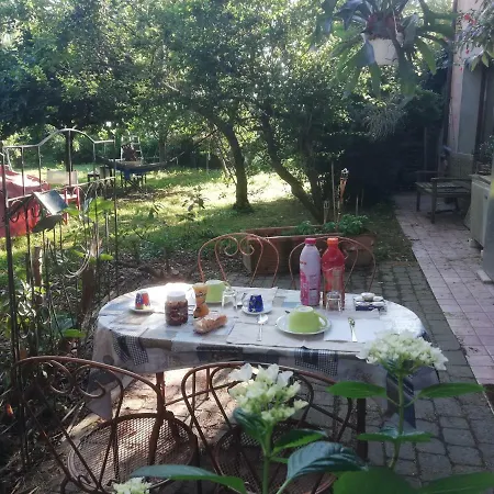 Camomilla ホームステイ *