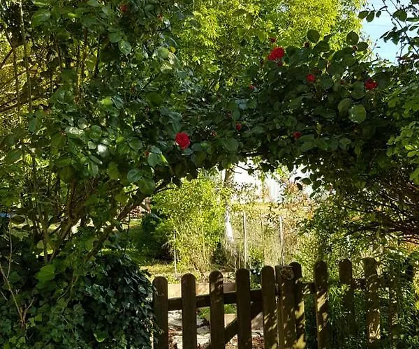 Camomilla Rum i privatbostad Ravenna